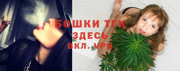 дмт Краснослободск