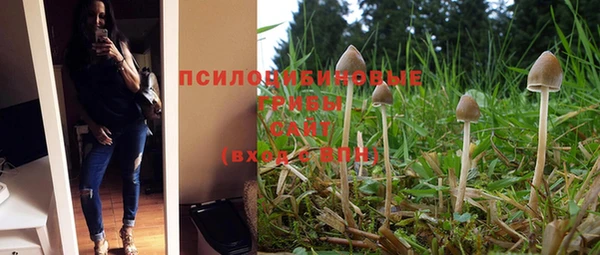 дмт Краснослободск