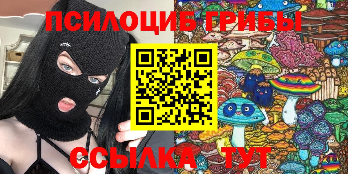 Псилоцибиновые грибы Psilocybine cubensis  Галлюциногенные грибы прущие грибы  Березники 