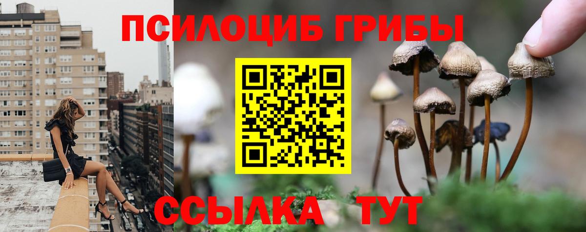 Березники  Псилоцибиновые грибы мухоморы  где продают   Вход с VPN 
